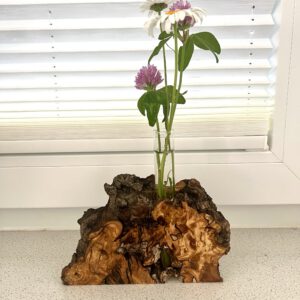 Holzvase Olive mit Reagenzglas